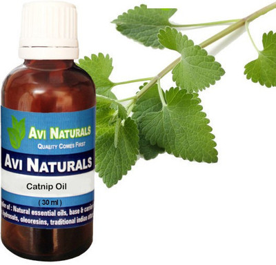 AVI NATURALS Catnip oil(30 ml)