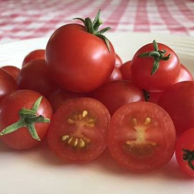 Aro Tomato S22, Tamatar Seed(240 per packet)