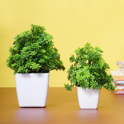 Dekorly Green Decorative Artificial Plants Fake Plants (Pack Of 2) Bonsai Wild Artificial Plant  with Pot(15 cm, Green)