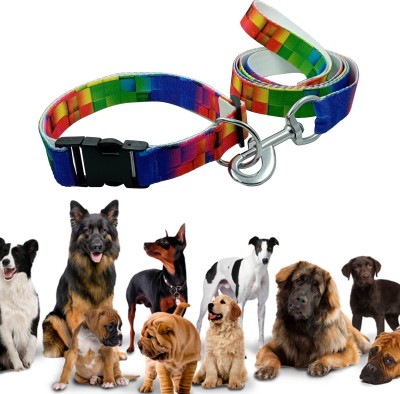 Jainsons Pet Products Dog Rainbow Leash and Collar Set, Nylon Pet Leash with Collar (1 inch Dog Collar & Leash(Large, Multicolor)