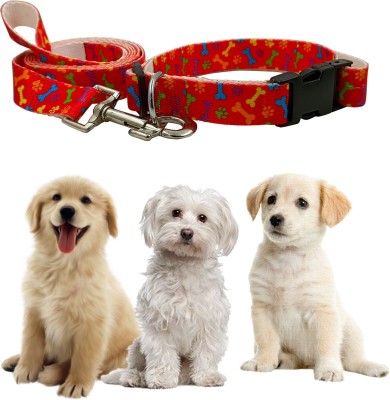 Jainsons Pet Products Dog Collar and Leash Set, Nylon Leash and Collar for Dog Puppy Cat (20 mm) Dog Collar & Leash(Medium, Multicolor)