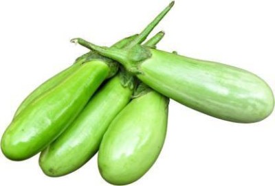 MAA Brinjal Green Long, Brinjal, Eggplant Seed(250 per packet)
