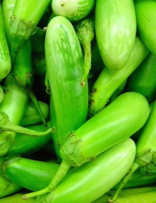 Aro Brinjal Green Long, Brinjal, Eggplant Seed(200 per packet)