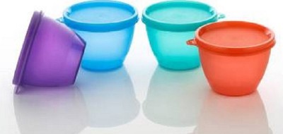 RANIC Plastic Grocery Container  - 500 ml(Pack of 4, Multicolor)