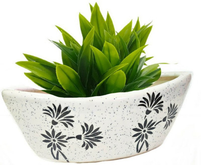 Luminescence Enterprises Plant Container Set(Ceramic)