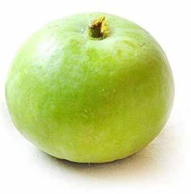 MKR Enterprises Tinda Seed(190 per packet)
