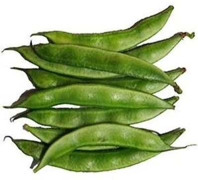 MKR Enterprises Sem Phali Seed(100 per packet)