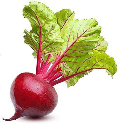 dpays Beetroot Seed(50 per packet)