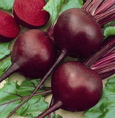 MKR Enterprises Beetroot Seed(50 per packet)