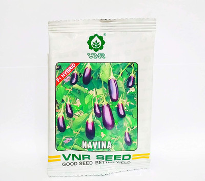 Jevik f1 hybrid Seed(20 g)