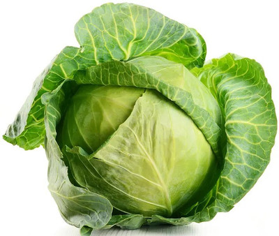 XOLDA Cabbage Plant Seed(71 per packet)
