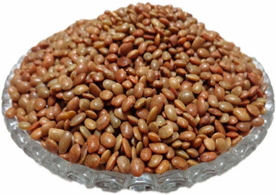SeedLife Super Napier Grass Seed(5000 per packet)