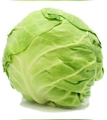 XOLDA Organic Cabbage Plant Seed(67 per packet)