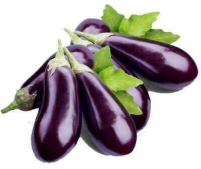 Chalisa BRINJAL, Black Brinjal round Seed(200 per packet)