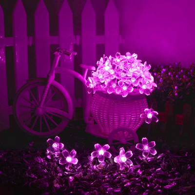 RaajaOutlets 40 LEDs 6.6 m Pink Steady String Rice Lights(Pack of 1)