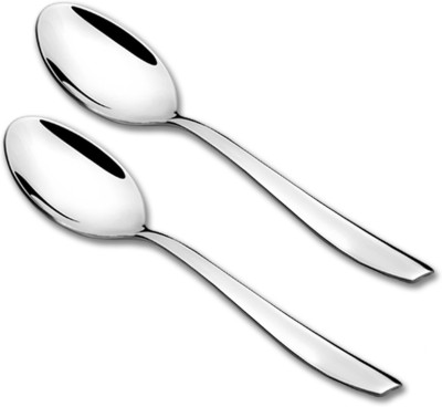 FNS International RIO Serving Spoon Set of 2 Pcs Stainless Steel Table Spoon Set(Pack of 2)