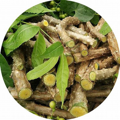 gorgeous moment giloy juice Seed(25 per packet)
