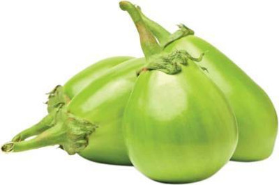 MAA Brinjal Green round, Brinjal, Eggplant Seed(300 per packet)