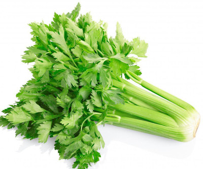 Mozette Hybrid Celery Seed(55 per packet)