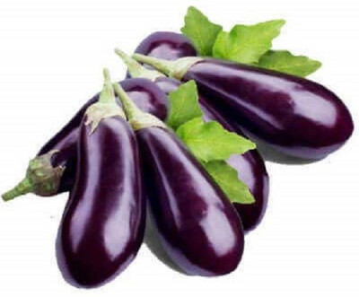 MAA Brinjal purple long, Brinjal, Eggplant Seed(40 per packet)