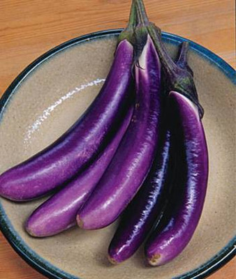 MAA Brinjal purple long, Brinjal, Eggplant Seed(150 per packet)