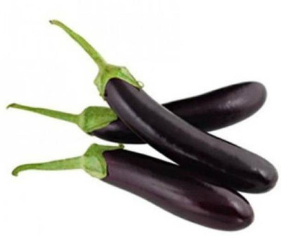 Aro Brinjal purple long, Brinjal, Eggplant Seed(70 per packet)