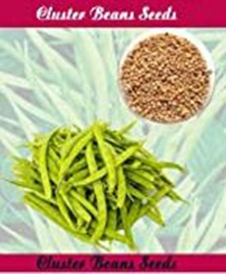 SM Exports Cluster beans vegetable seeds pack of 20 seeds. Seed(20 per packet)