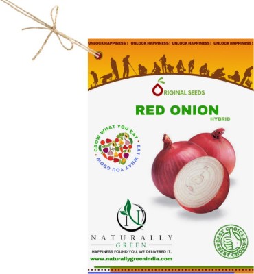 Naturally Green Red Onion Hybrid seeds Seed(50 g)