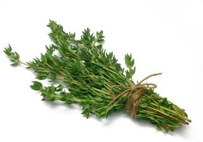 Gromax India THYME HERB SEEDS Seed(40 per packet)