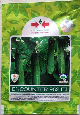 East West Seeds Cucumber Seed(300 per packet)