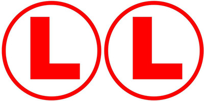 AVSARACHNA Sticker & Decal for Car(Red)