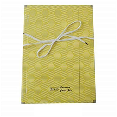 NEELGAGAN Hard Card Board Hard Card Board Four Flapper File, (40cm X 58cm), Folder with Elastic Band(Set Of 6, Red)