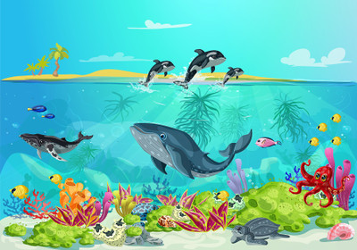 HD PRINT HOUSE Vinyl Decorative Multicolor Wallpaper(L x W: 60 cm x 45 cm)