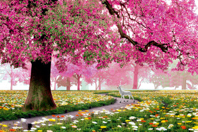 HD PRINT HOUSE Vinyl Nature Multicolor Wallpaper(L x W: 122 cm x 92 cm)