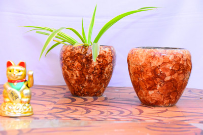 Niyara small glossy brown ceramic pot combo size-6 inches Plant Container Set(Pack of 2, Ceramic)