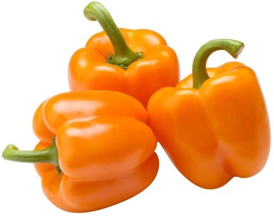 Gromax India CAPSICUM ORANGE SEEDS Seed(40 per packet)