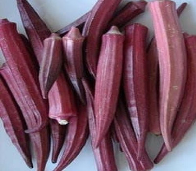 XOLDA Okra Red Seed(41 per packet)