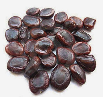 Nutrixia food IMLI seeds beej,Tamarind Seed Seed(250 g)