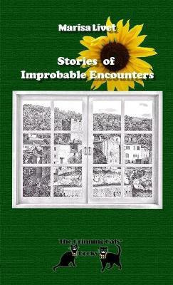 Stories of Improbable Encounters(English, Paperback, Livet Marisa)