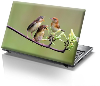 CVANU Bird Design Laptop Skin/Cover/Sticker Upto 15.6inch For All Laptop Sticker_C5 Vinyl Laptop Decal 15