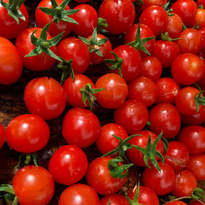 XOLDA Organic Cherry Tomato Seed(67 per packet)