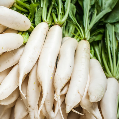 XOLDA Radish Seed(81 per packet)