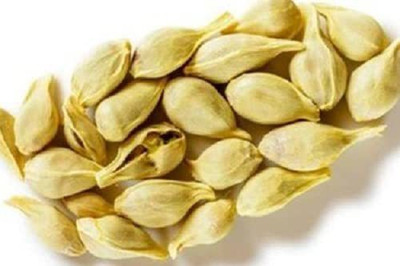 MKR Enterprises Santra Seed(20 per packet)