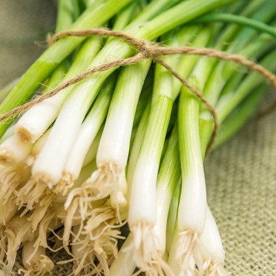ME Traders Organic Bunching Onion Seed(83 per packet)