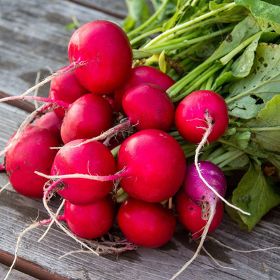 Paudha Organic Red Round Radish Seed(53 per packet)