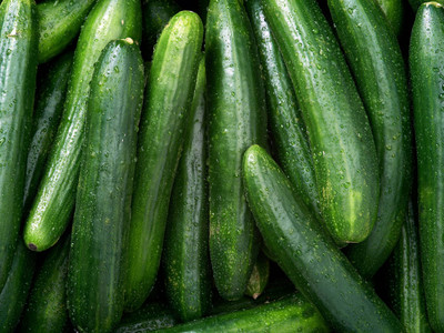 XOLDA Organic Cucumber Seed(57 per packet)