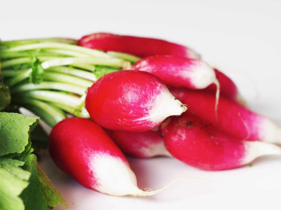Paudha Organic Red Round Radish Seed(83 per packet)