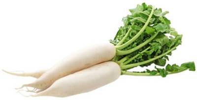 Paudha Organic Radish Seed(83 per packet)