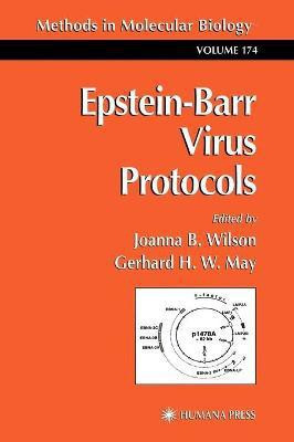 Epstein-Barr Virus Protocols(English, Hardcover, unknown)