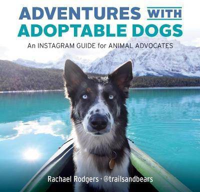 Adventures with Adoptable Dogs(English, Paperback, unknown)